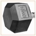 Hantle Kg 150 a.jpg