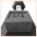 Hantle Kg 30 b.jpg